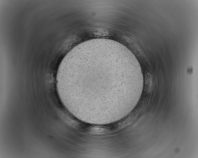 X0000101120614200807241201