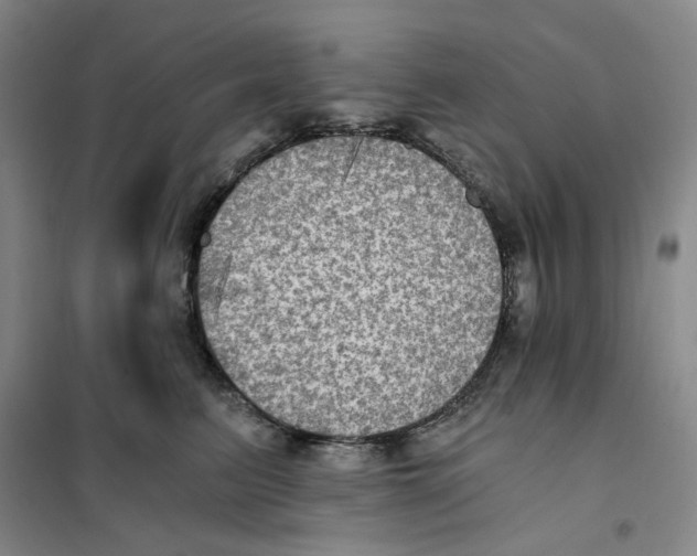 X0000101120615200807241201