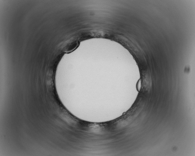 X0000101120616200807241201