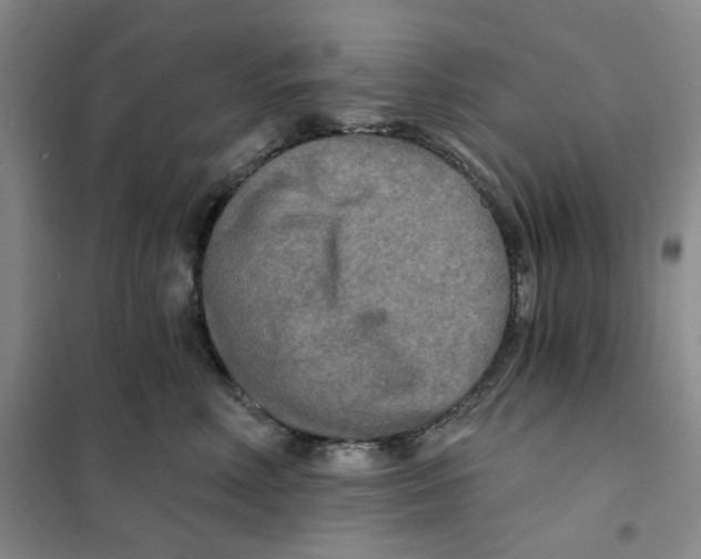 X0000101120618200807241201