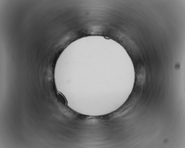 X0000101120620200807241201