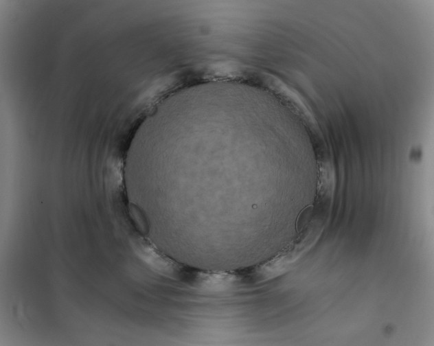 X0000101120621200807241201