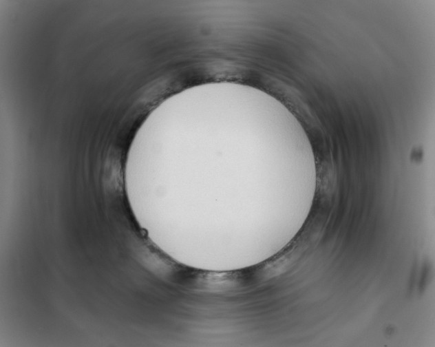 X0000101120622200807241201