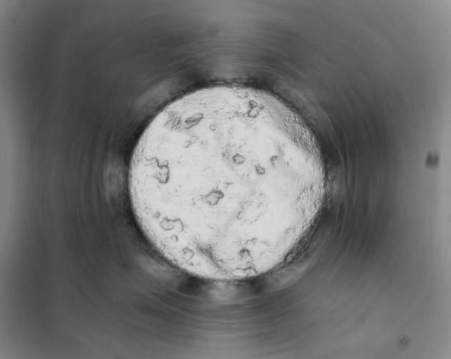 X0000101120623200807241201