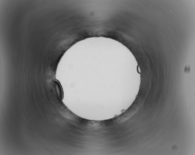X0000101120624200807241201