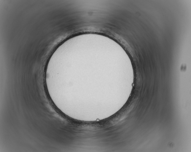 X0000101120625200807241200