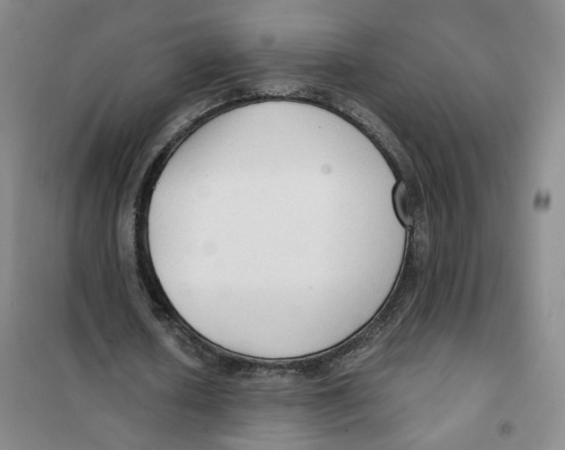 X0000101120626200807241200