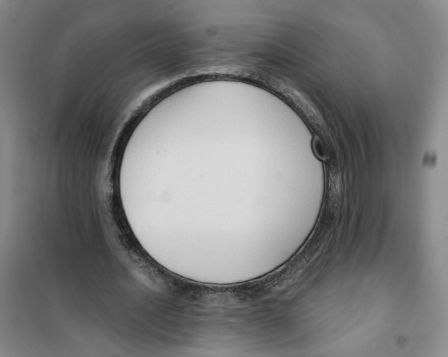 X0000101120628200807241200