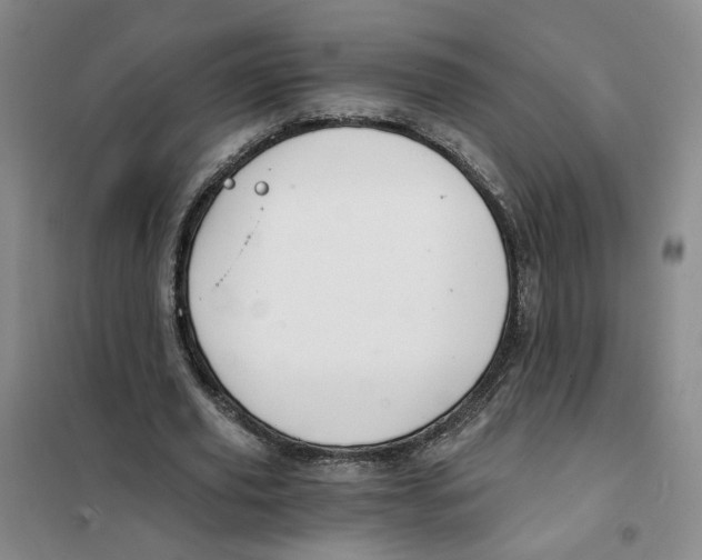 X0000101120629200807241200