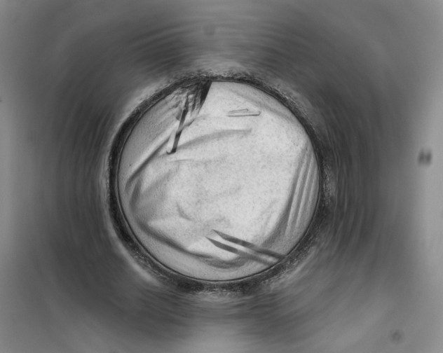 X0000101120630200807241200
