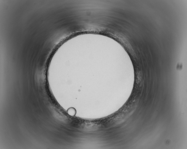 X0000101120632200807241200