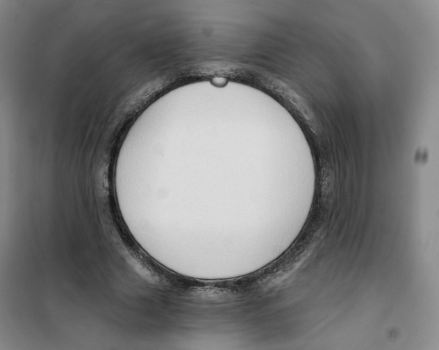 X0000101120633200807241200