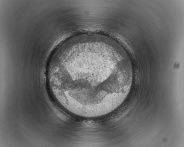 X0000101120634200807241200