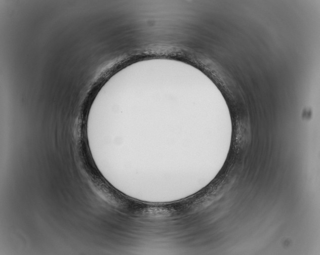 X0000101120636200807241200