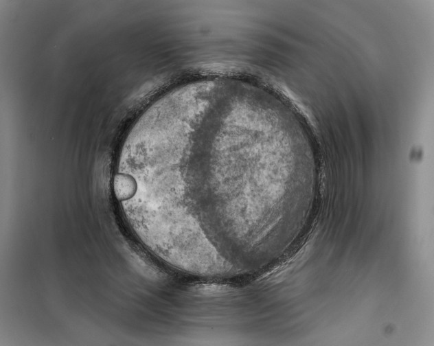 X0000101120637200807241200