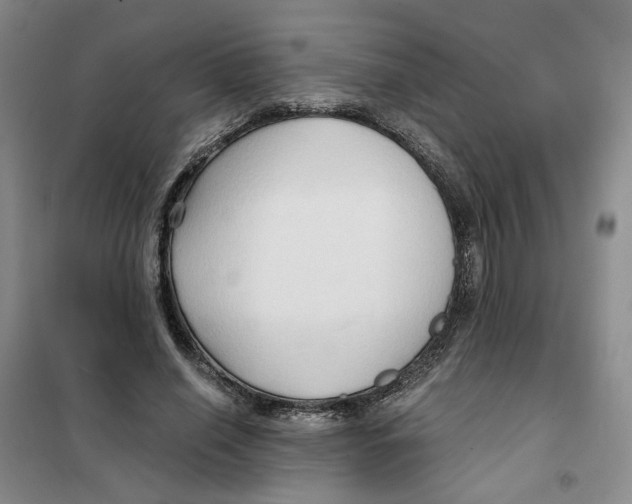 X0000101120638200807241200