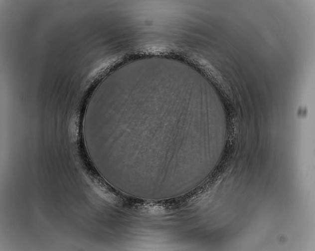 X0000101120640200807241200