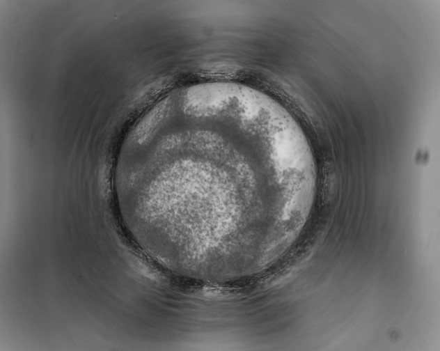 X0000101120641200807241200
