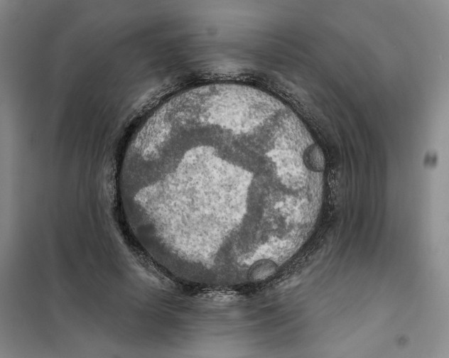 X0000101120642200807241200