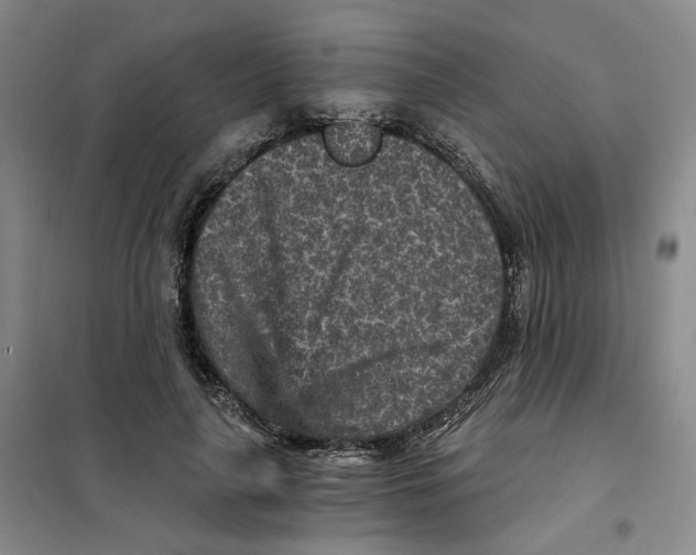 X0000101120643200807241200