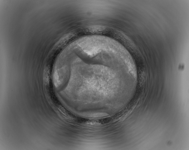 X0000101120644200807241200