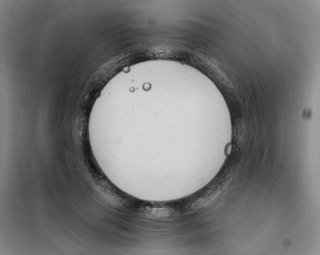 X0000101120645200807241200