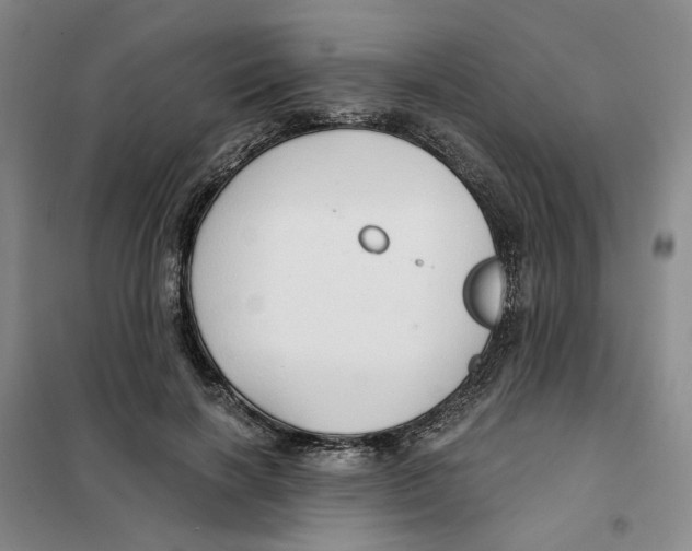 X0000101120646200807241200