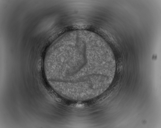 X0000101120647200807241200