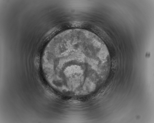 X0000101120648200807241200