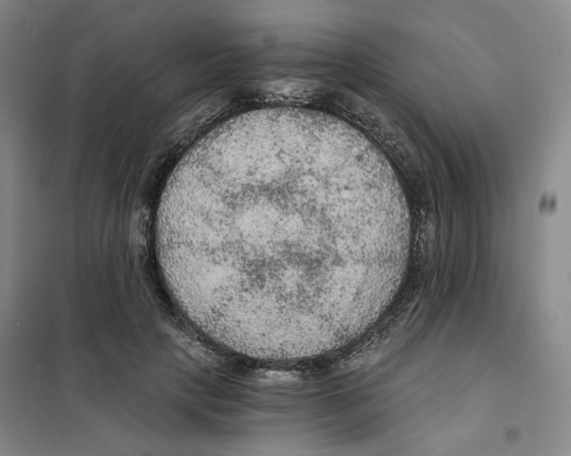 X0000101120649200807241200
