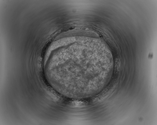 X0000101120650200807241200