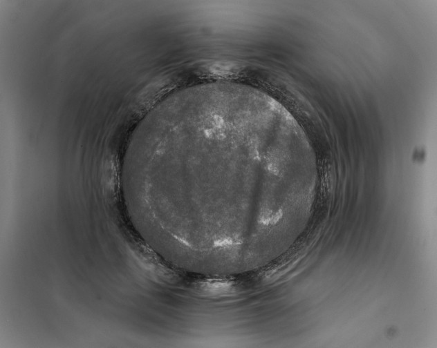 X0000101120651200807241200