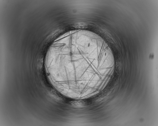 X0000101120652200807241200