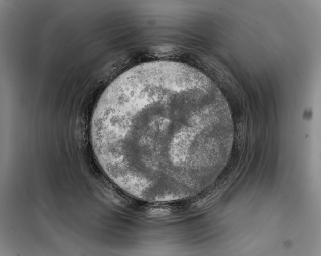 X0000101120653200807241200