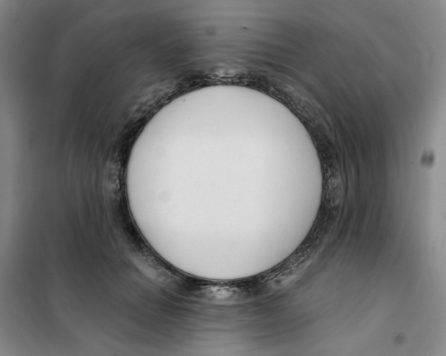X0000101120654200807241200