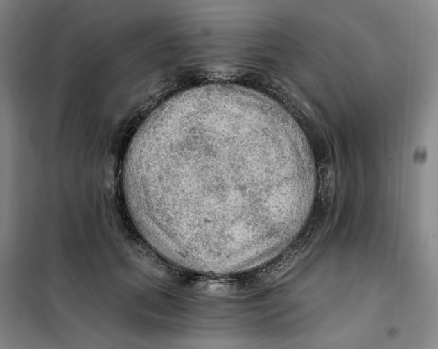 X0000101120655200807241200