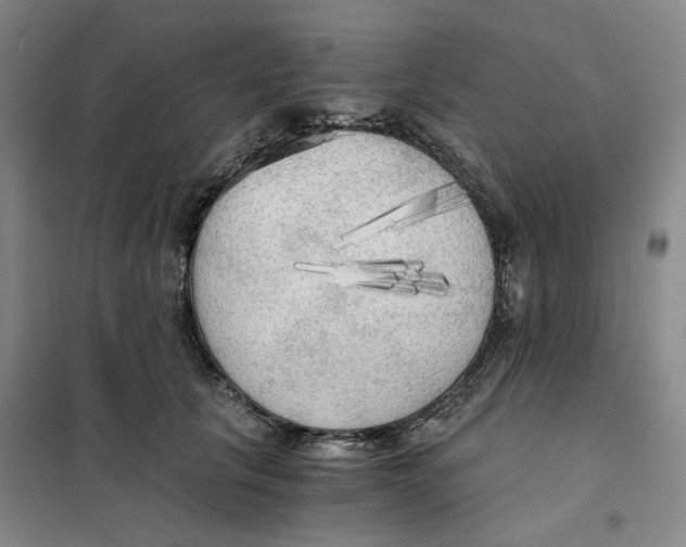 X0000101120657200807241200