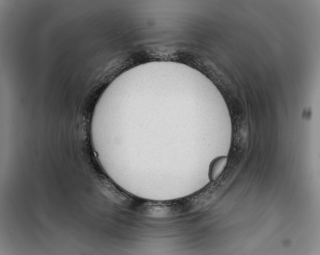 X0000101120658200807241200
