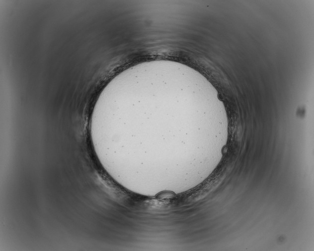 X0000101120660200807241200