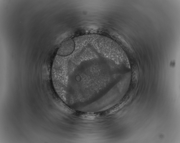 X0000101120661200807241200