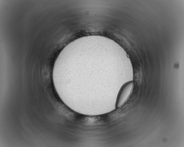 X0000101120662200807241200