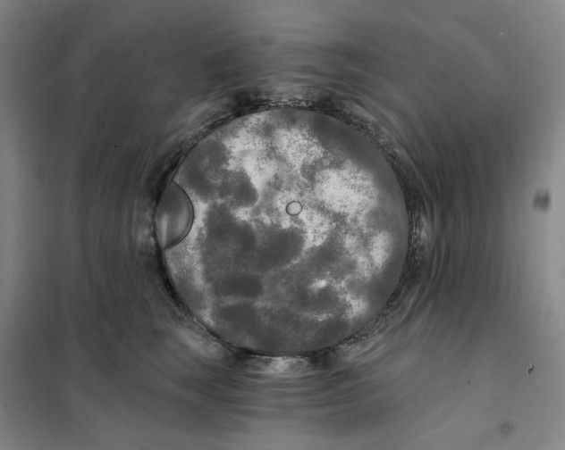 X0000101120663200807241200