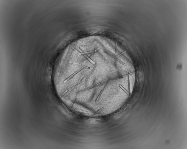 X0000101120664200807241200