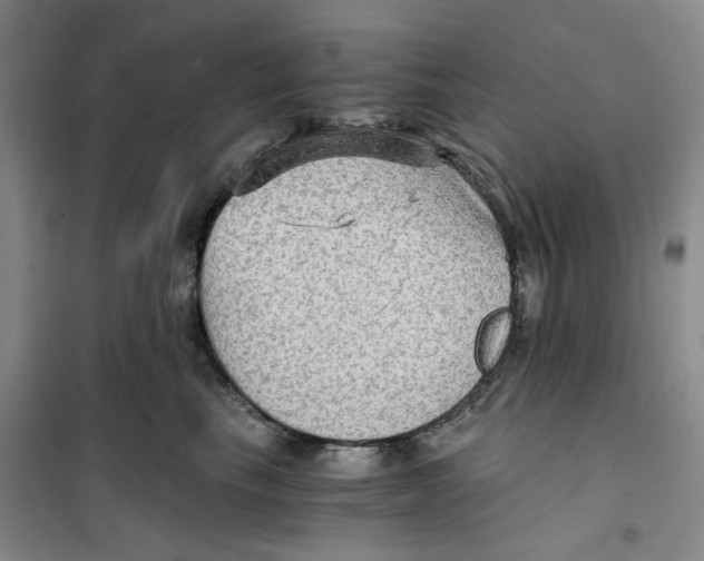 X0000101120665200807241200