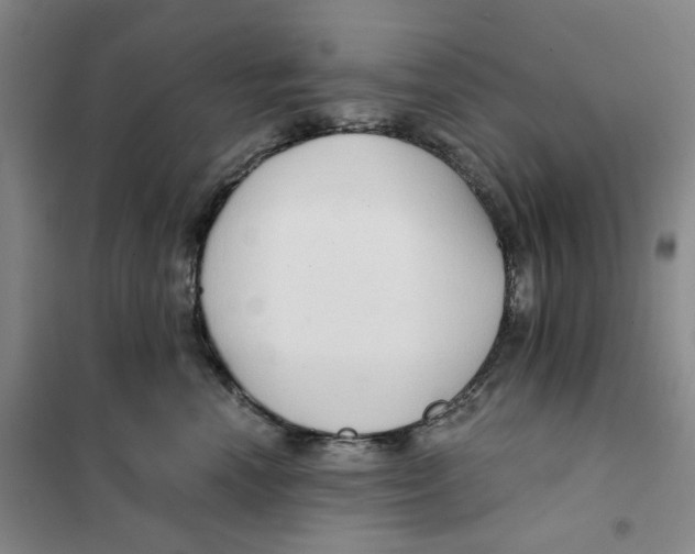 X0000101120666200807241200