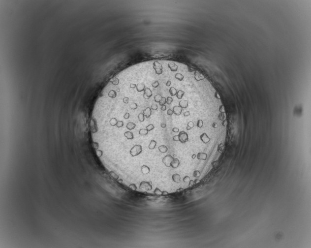 X0000101120667200807241200