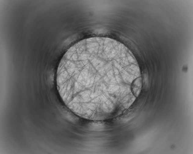X0000101120668200807241201