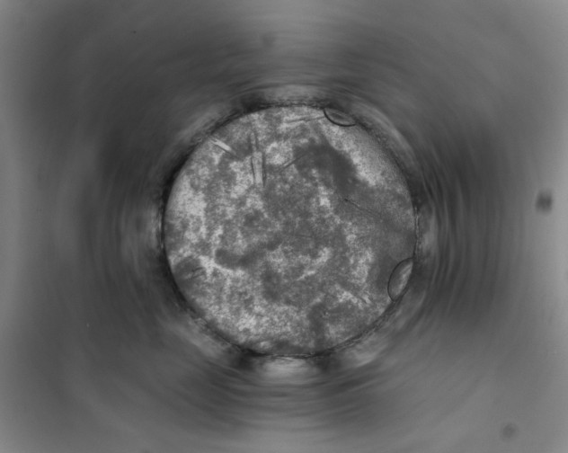X0000101120669200807241201
