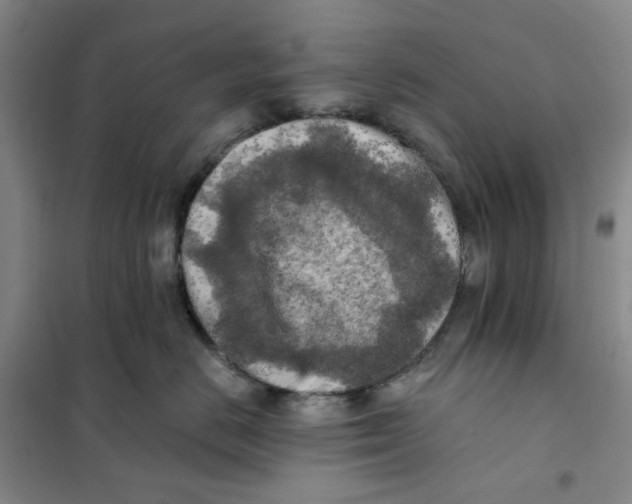 X0000101120670200807241201