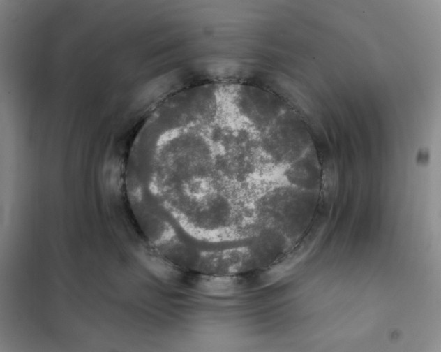 X0000101120671200807241201